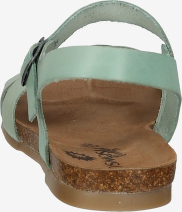 Sandales COSMOS COMFORT en vert