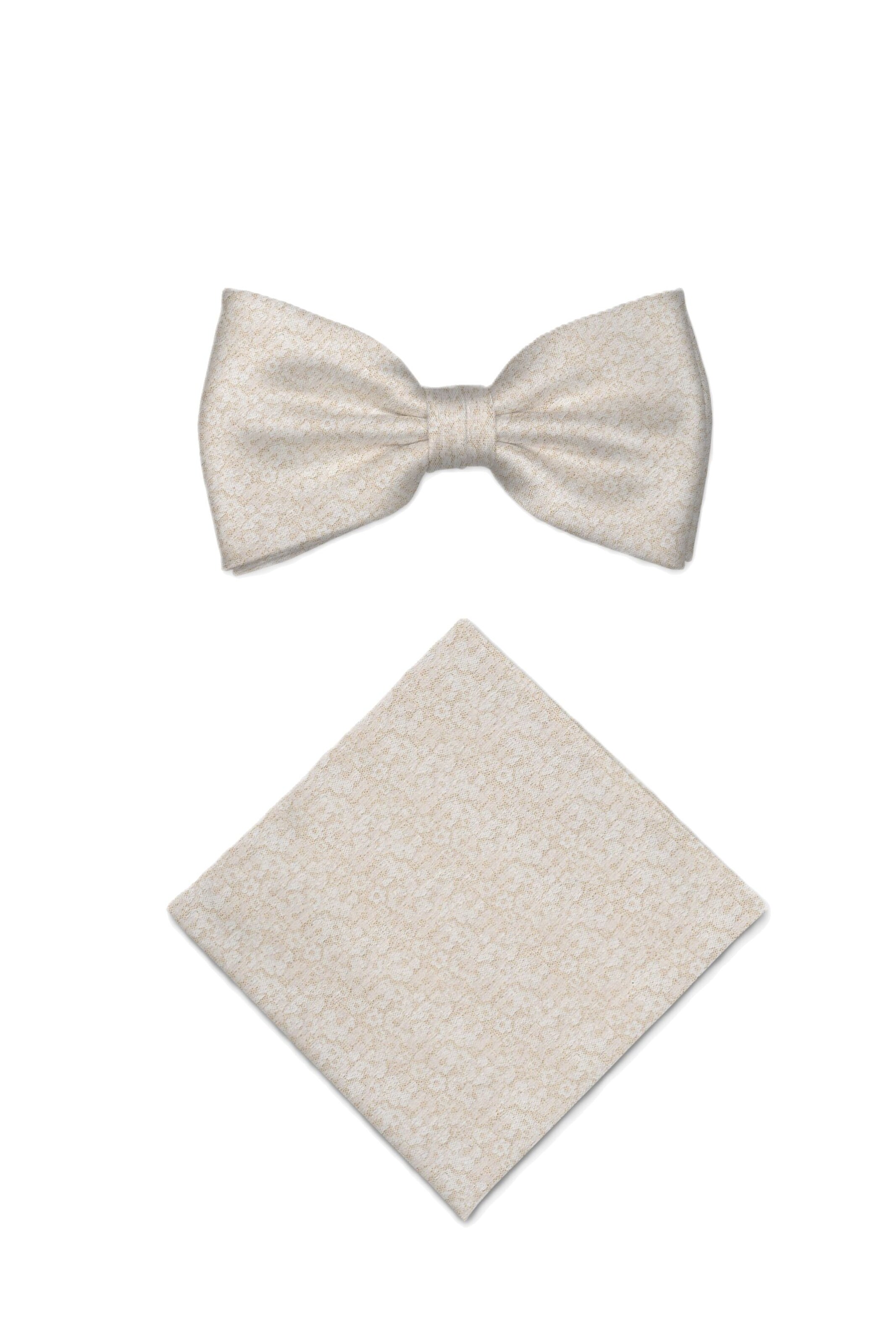 Real Guys Nœud papillon en beige, Vue avec produit