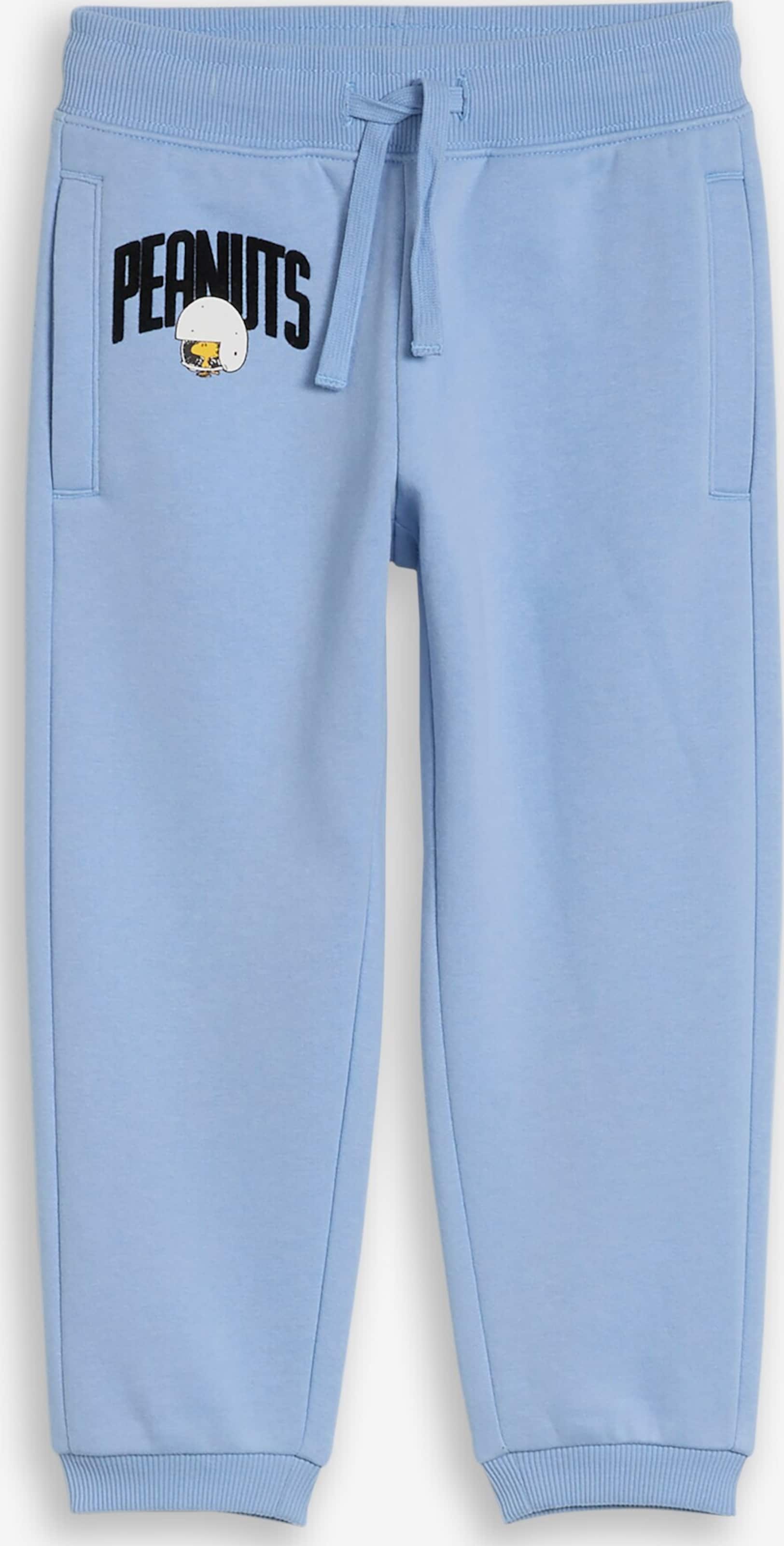 TOM TAILOR Tapered Pantaloni 'Peanuts'
