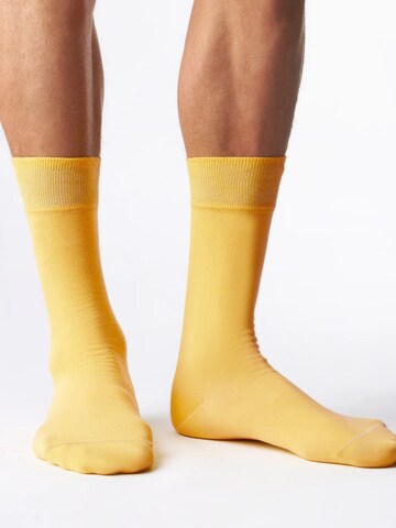 Von Jungfeld Socken 'Signature' in Gelb