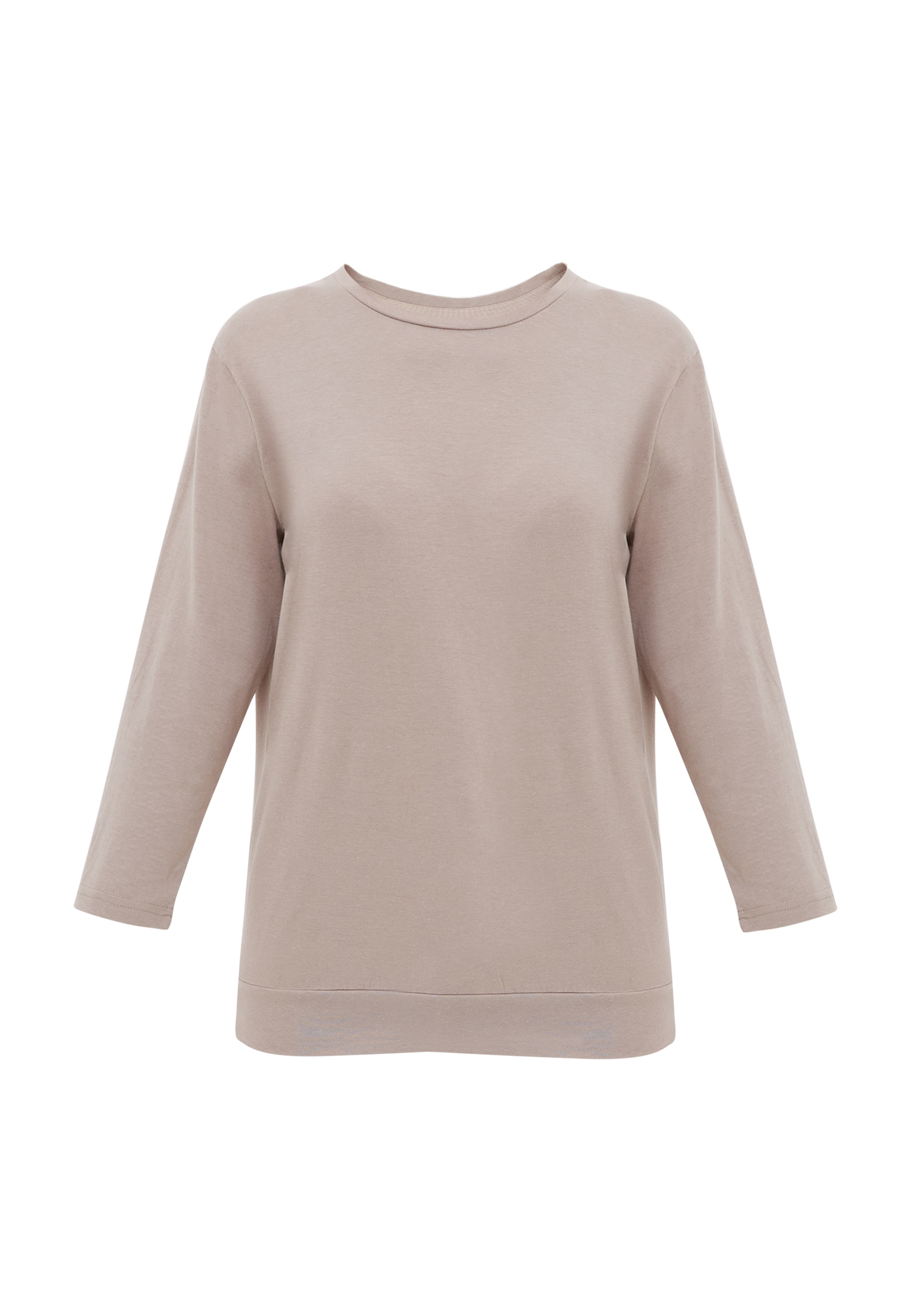 Finn Flare Langarmshirt 'Basic' in Braun: Vorderseite