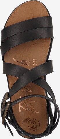 Blowfish Malibu Sandalen in Schwarz