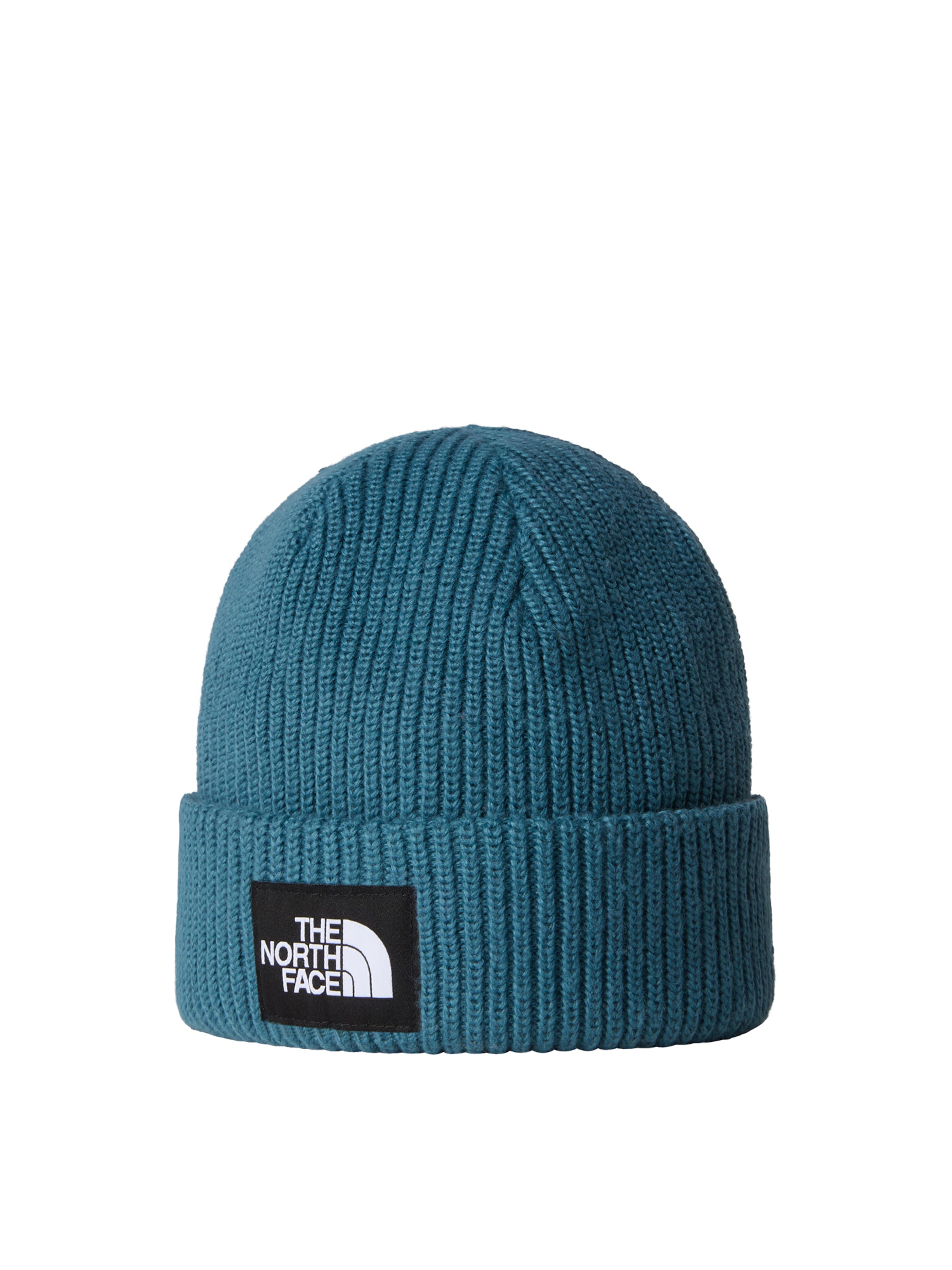 THE NORTH FACE Spordimüts, värv sinine: eest vaates