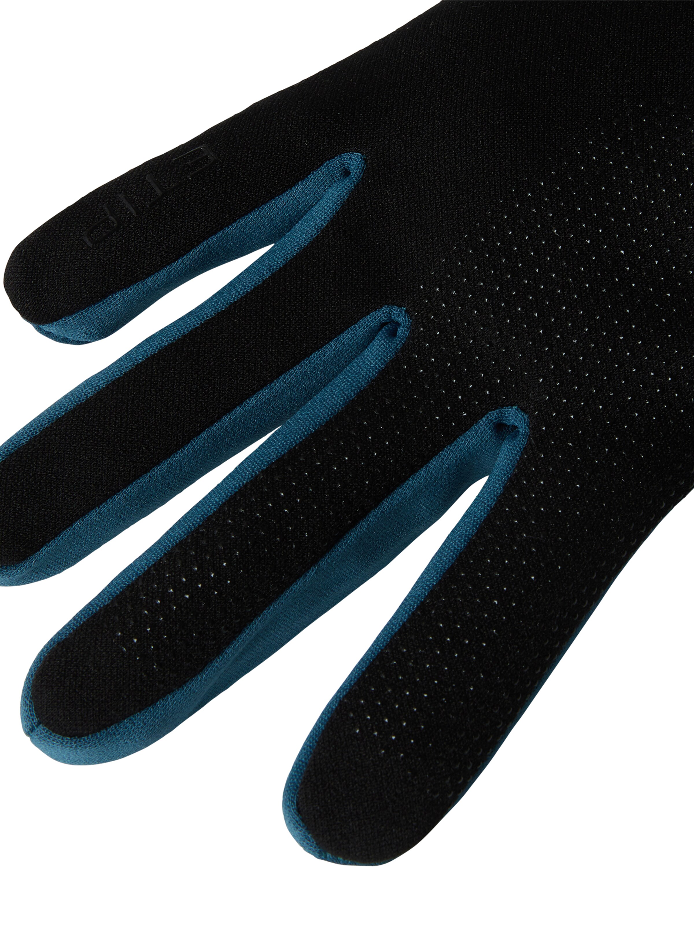 Mănuşi cu degete de la THE NORTH FACE pe albastru