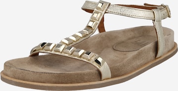Billi Bi Remienkové sandále - Zlatá: predná strana