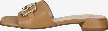 Högl Mules 'Florence' in Brown