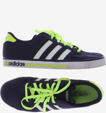 ADIDAS NEO Sneakers & Trainers in 45 in Blue: front