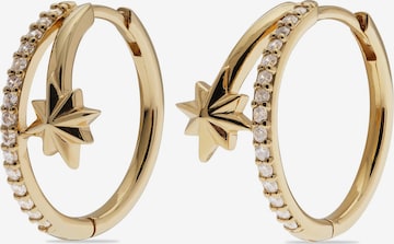 Guido Maria Kretschmer Jewellery Ohrringe in Gelb: Vorderseite