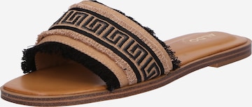 ALDO Mule 'NALANI' in Brown: front