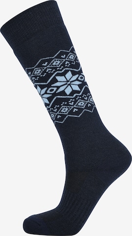 ENDURANCE Athletic Socks 'Ossar' in Blue: front