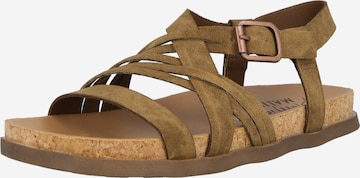 Sandalo con cinturino 'LIGHT UP' di Blowfish Malibu in marrone: frontale