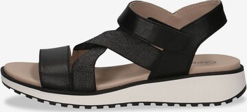 CAPRICE Sandals in Black