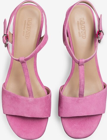 LLOYD Strap Sandals in Pink