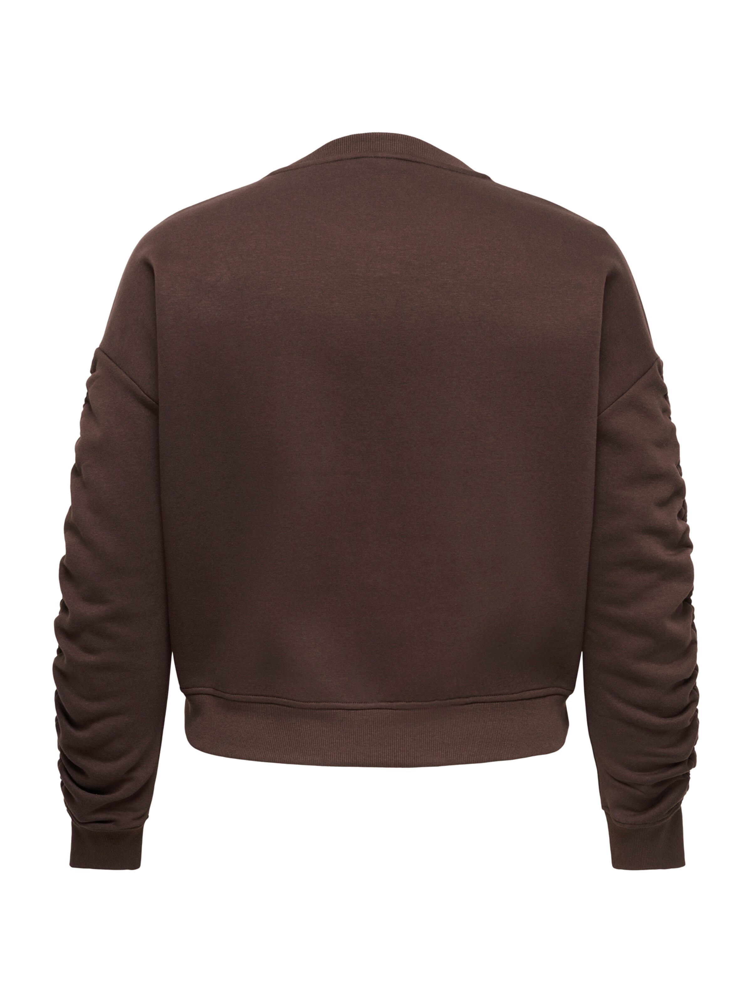 ONLY Carmakoma Sweatshirt 'CARSWEAT' i brun