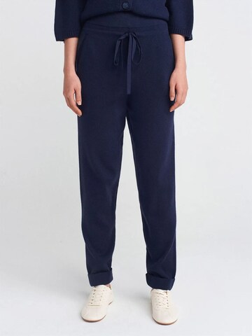 regular Pantaloni di Dilvin in blu: frontale