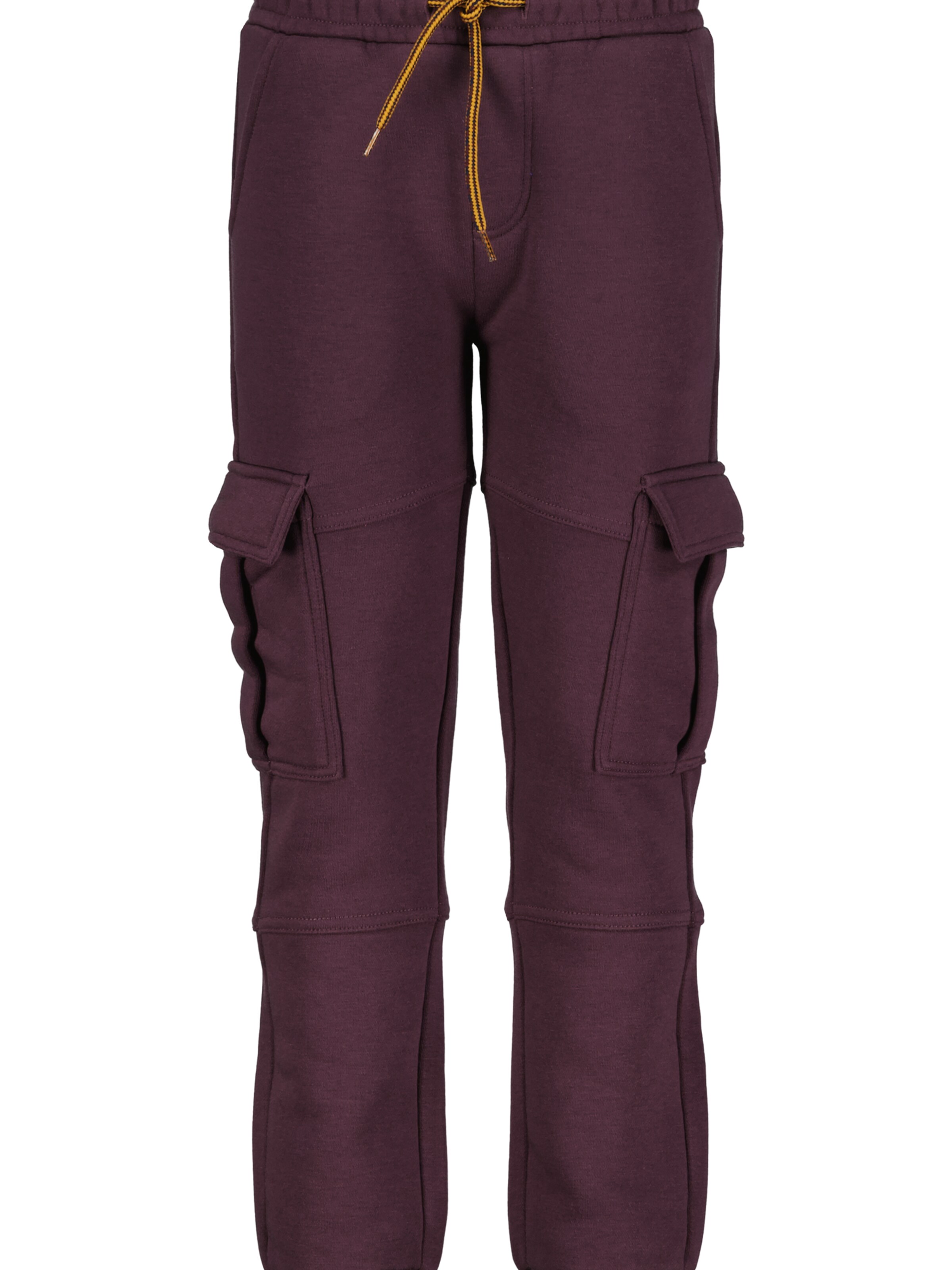 4PRESIDENT Slim fit Pants 'Mazi' in Purple: front