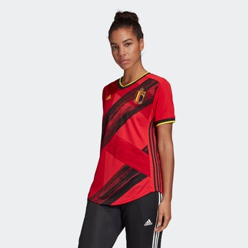 ADIDAS SPORTSWEAR Jersey 'RBFA Belgien Home EM 2020' in Red: front