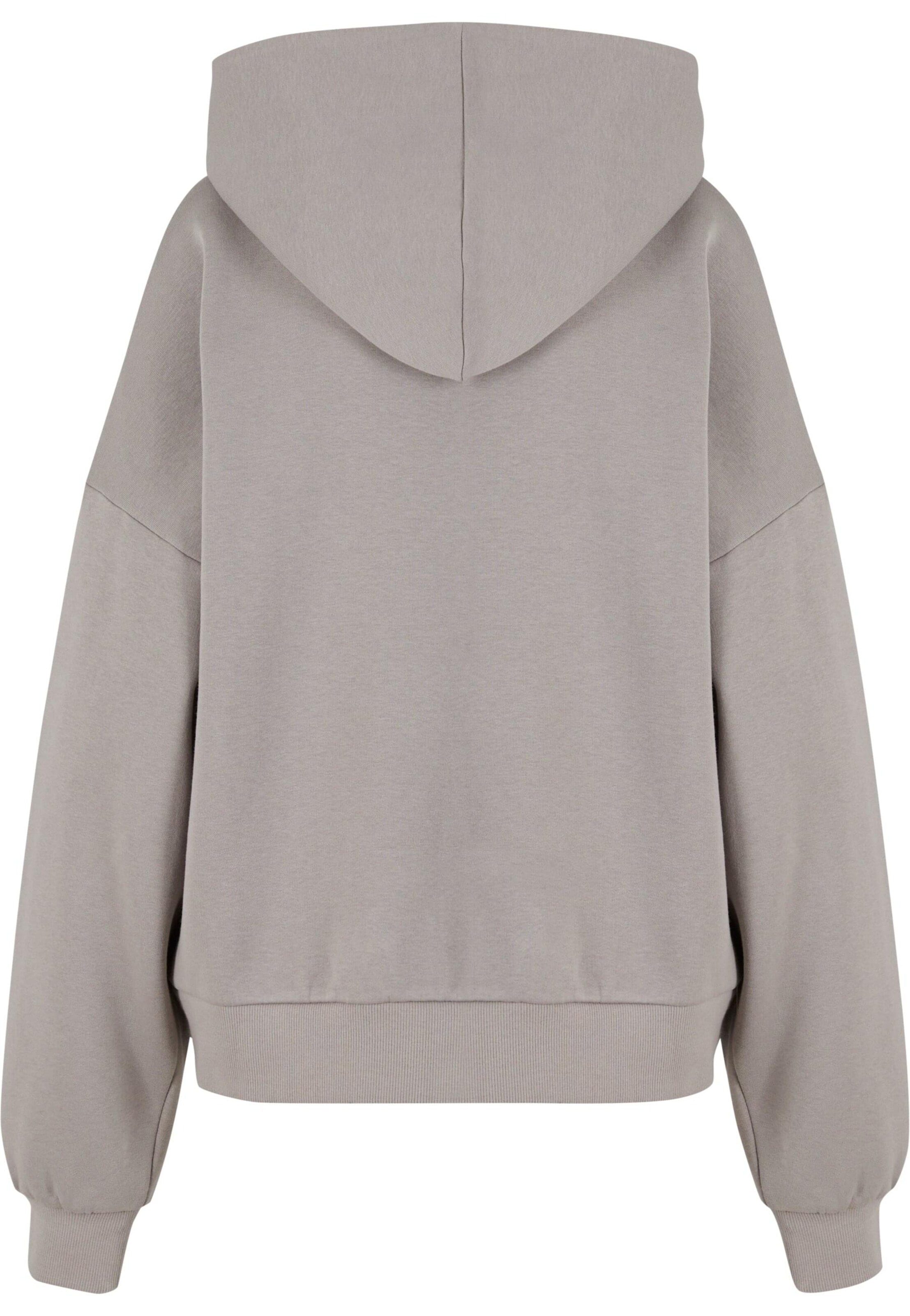 Karl Kani Sweatshirt in Grey
