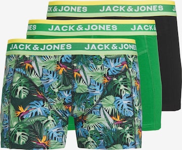 JACK & JONES Boxershorts 'Miami' i grön: framsida