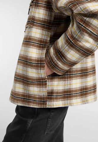 DICKIES Tussenjas in Beige