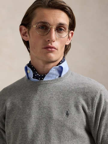 Polo Ralph Lauren Trui in Grijs