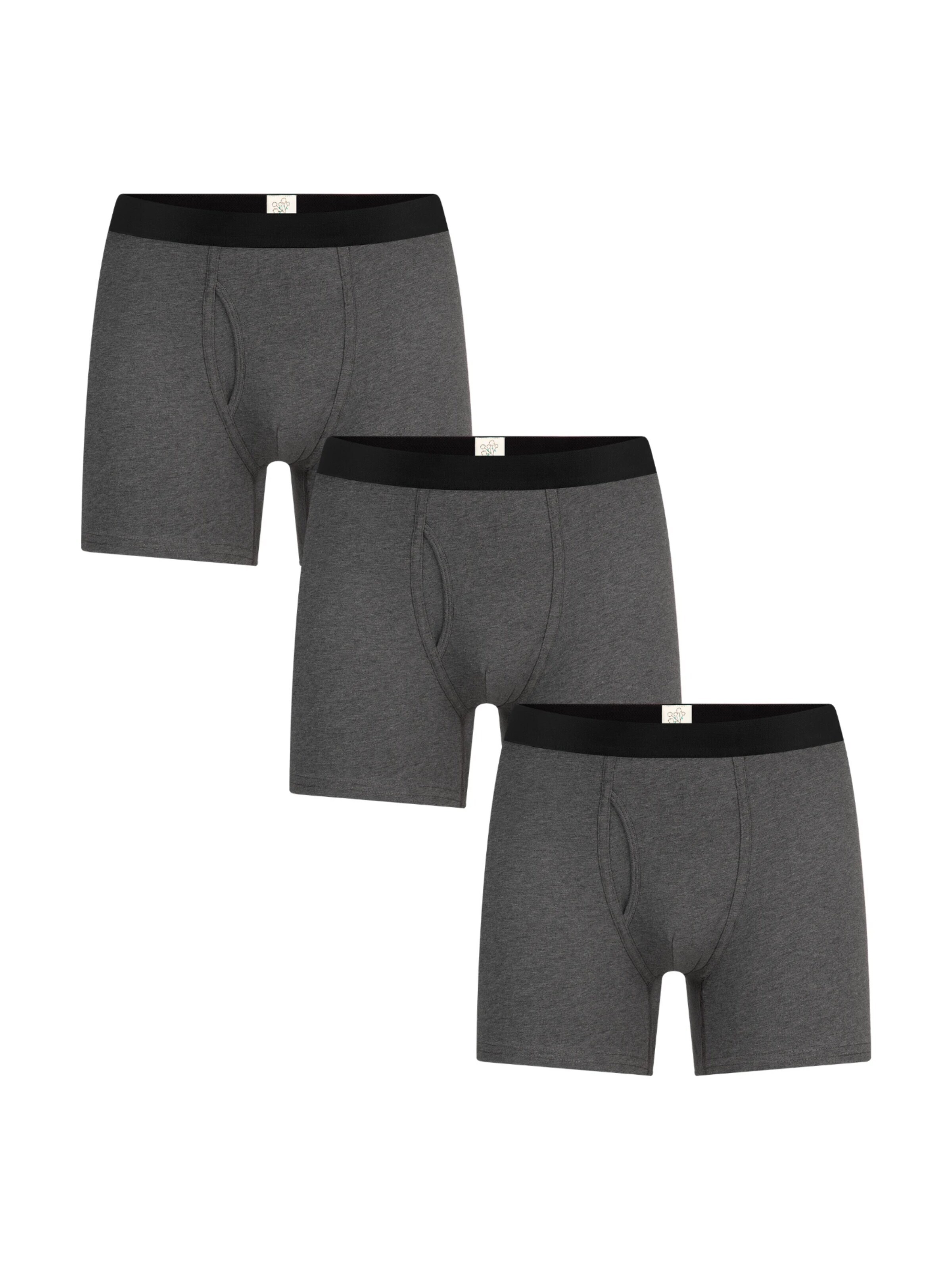 Albero Natur Boxer shorts in Grey: front