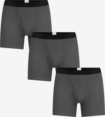 Albero Natur Boxer shorts in Grey: front
