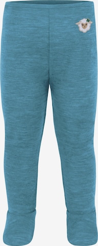 normani Underpants 'Silverdale' in Blue: front