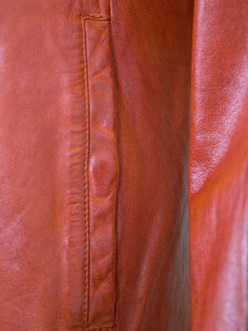 Jilani Tussenjas 'Ventura' in Rood