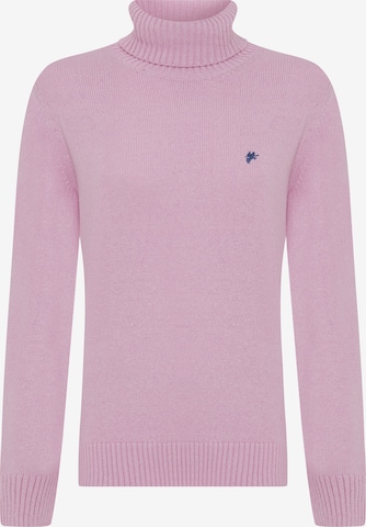 DENIM CULTURE Sweater 'Fallon' in Pink: front