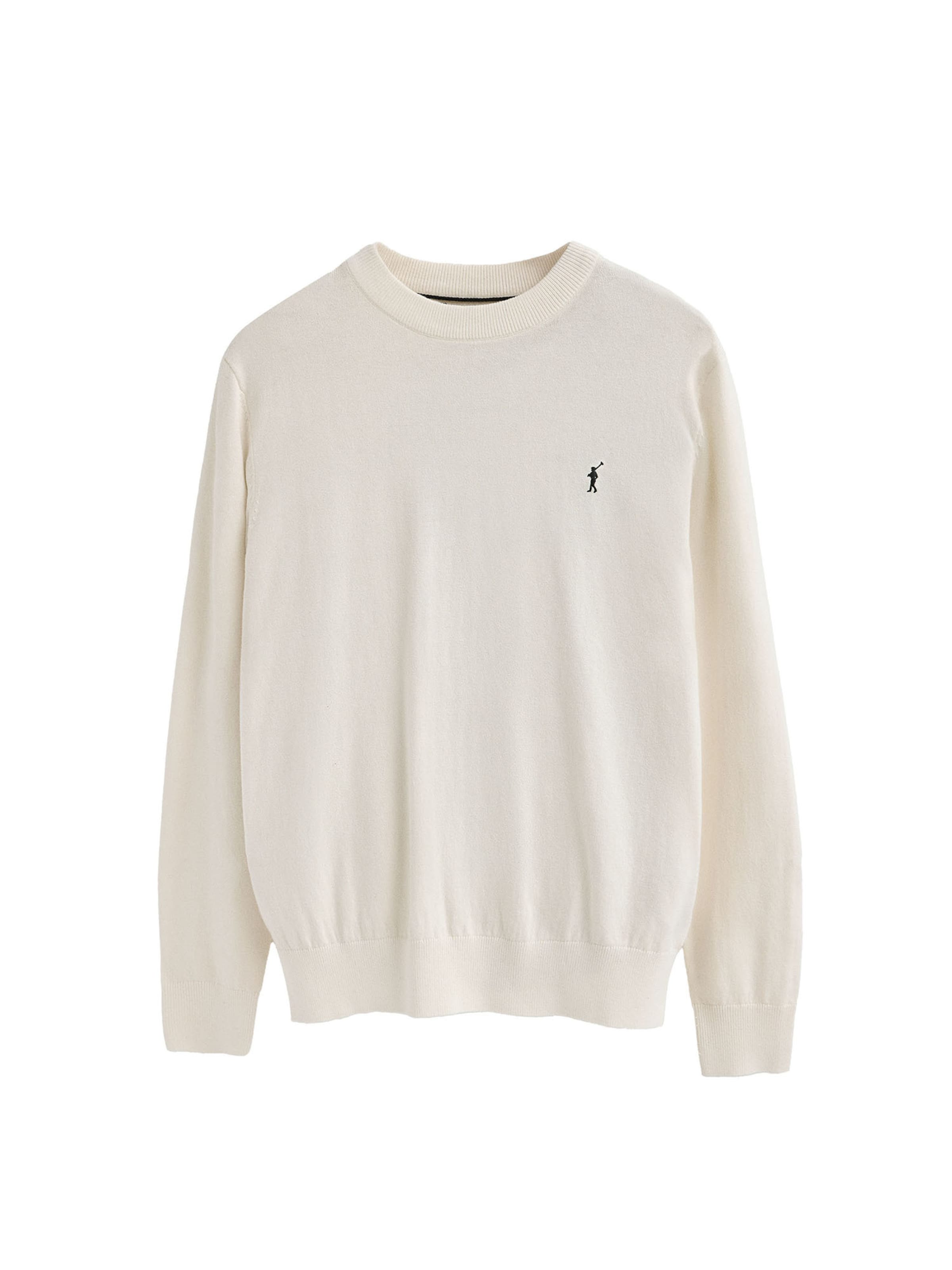 Polo Club Pullover in Beige: Vorderseite