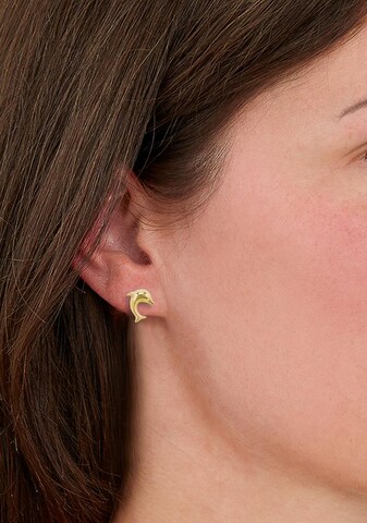 AMOR Earrings in Gold: front