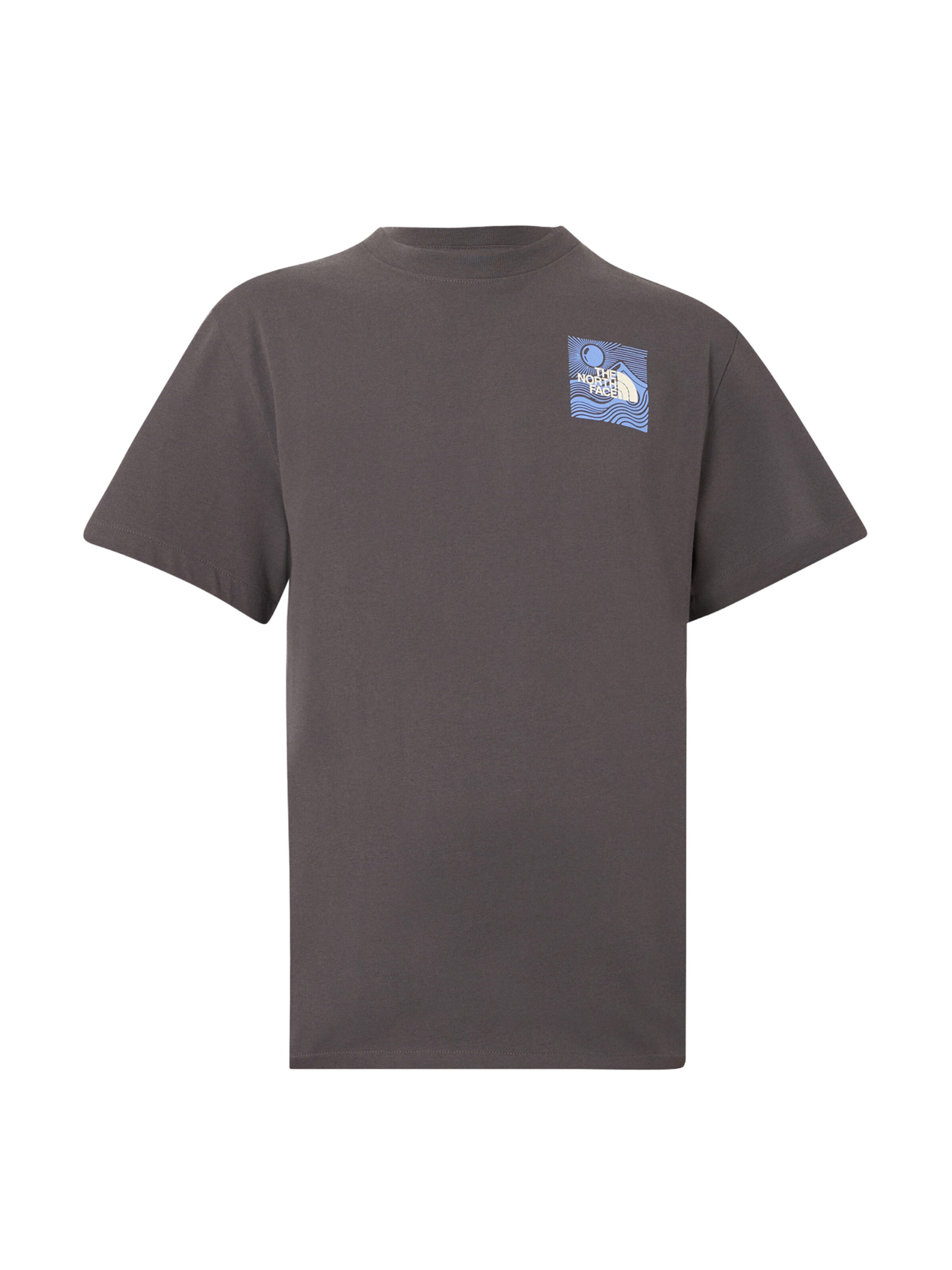 THE NORTH FACE Футболка 'MOUNTAIN ESCAPE' в Серый: спереди