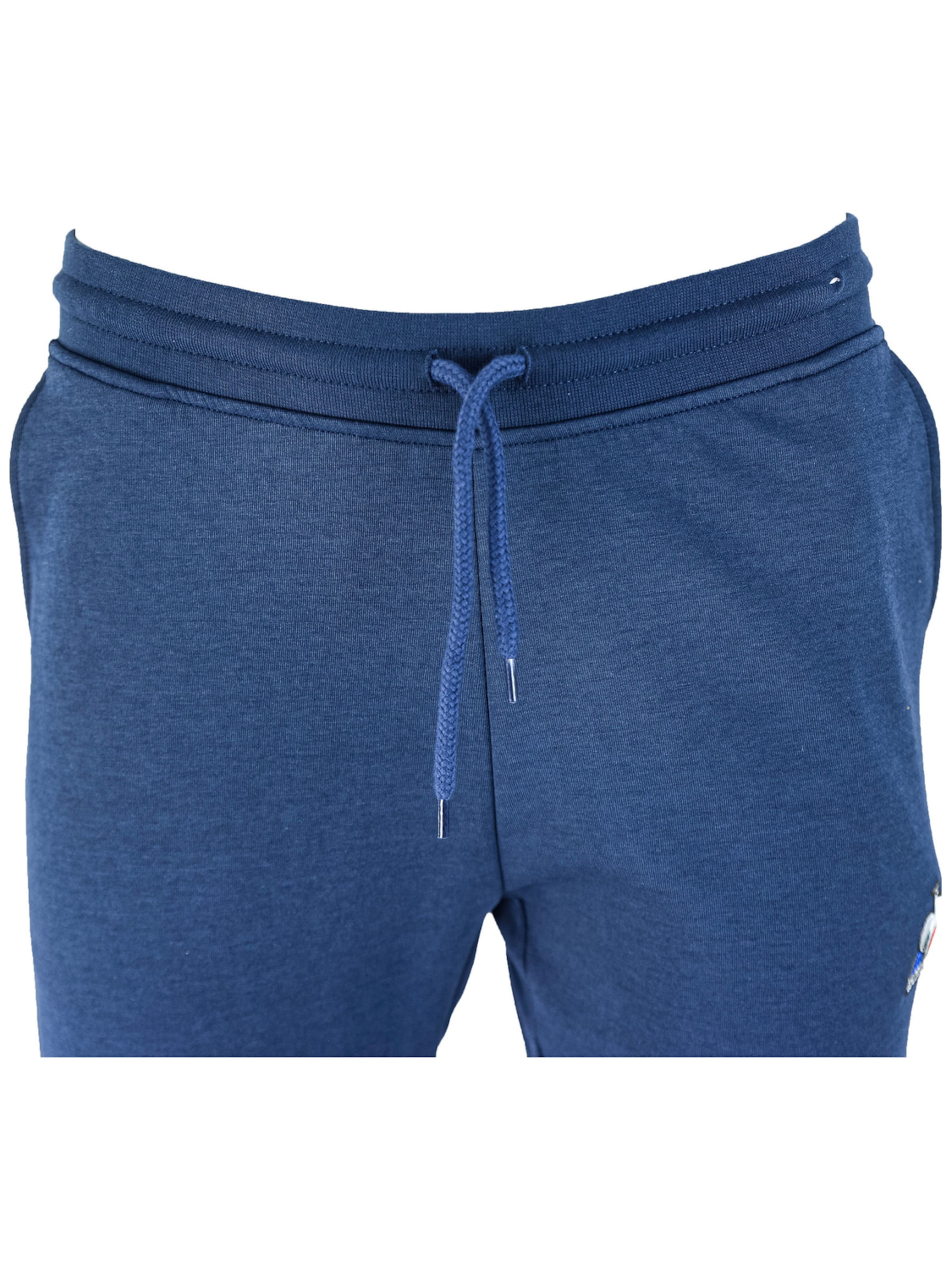 LE COQ SPORTIF - regular Pantalón deportivo 'Le Coq Sportif Essential' en azul
