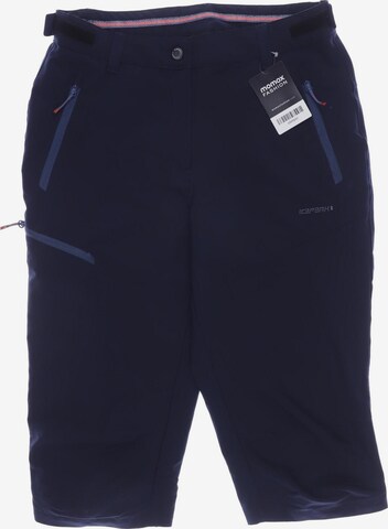 ICEPEAK Pants in M in Blue: front