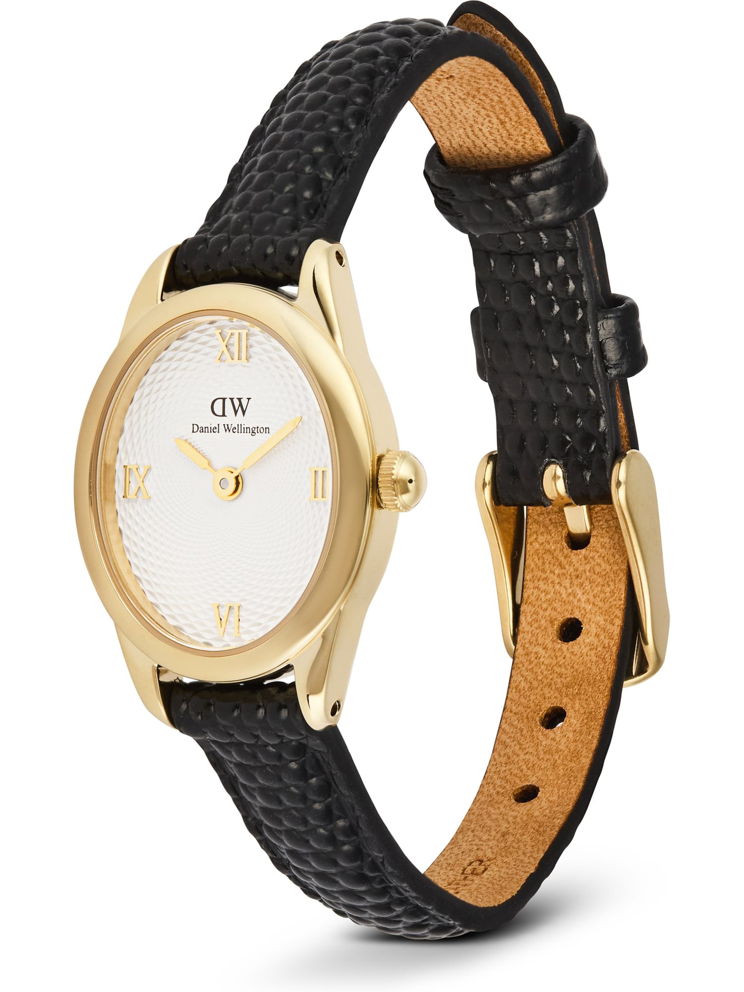 Daniel Wellington Analoguhr in Gold