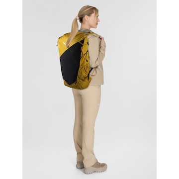 Sac à dos de sport 'Pedroc Core' SALEWA en jaune