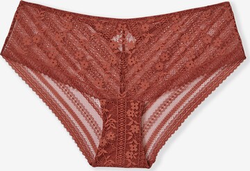 Slip 'Aura' di ETAM in marrone: frontale