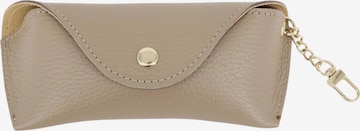 Brise Case 'Brillenetui' in Brown: front