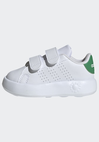 ADIDAS ORIGINALS Sneaker 'Advantage' in Weiß: Vorderseite