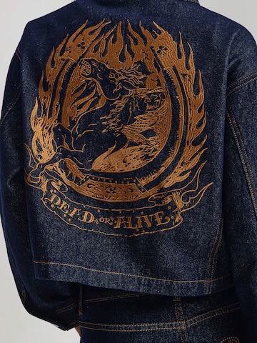 mėlyna Ed Hardy Demisezoninė striukė: galas
