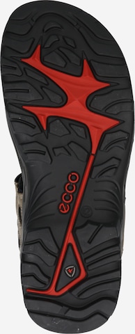 smėlio ECCO Sportinio tipo sandalai 'ECCO OFFROAD'