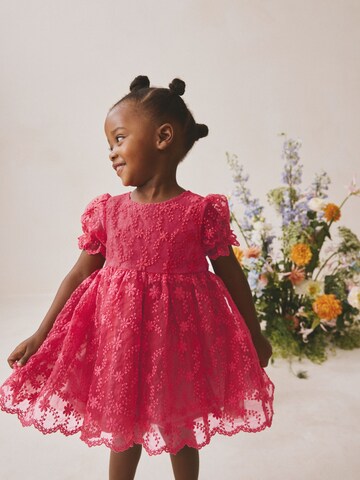 Next Kleid in Rot: Vorderseite