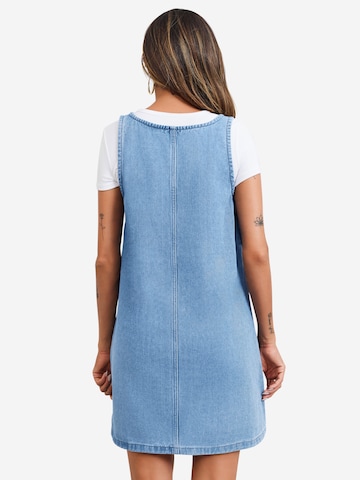 Imily Bela Dress in Blue