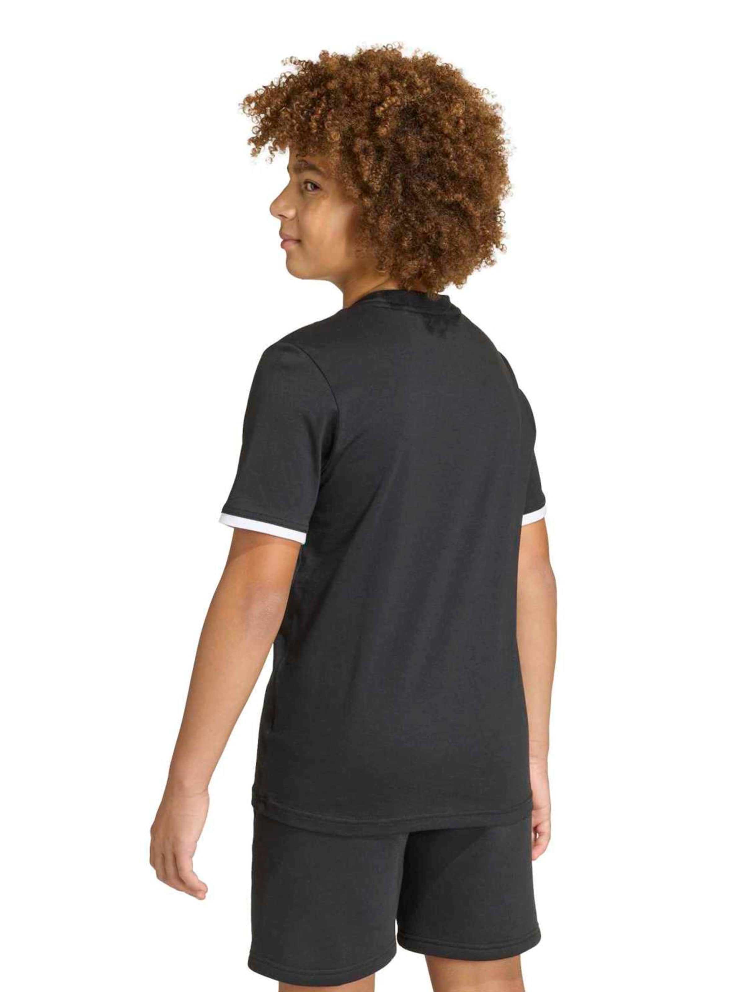 ADIDAS PERFORMANCE Funktionsshirt 'ENT26' in Schwarz