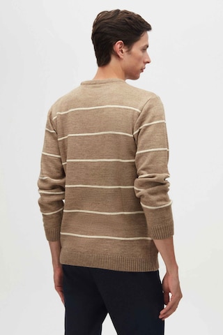 D’S Damat Trui in Bruin