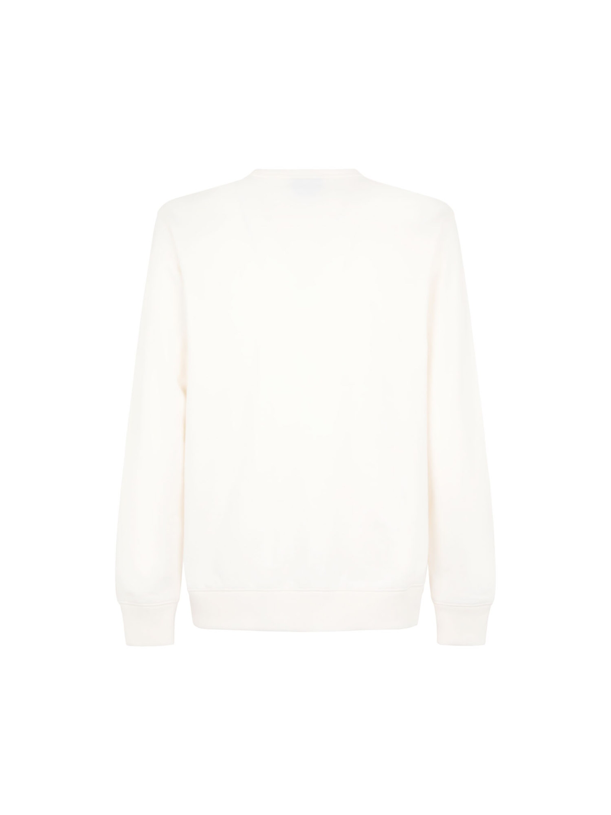 DICKIES Sweatshirt 'AITKIN' in White