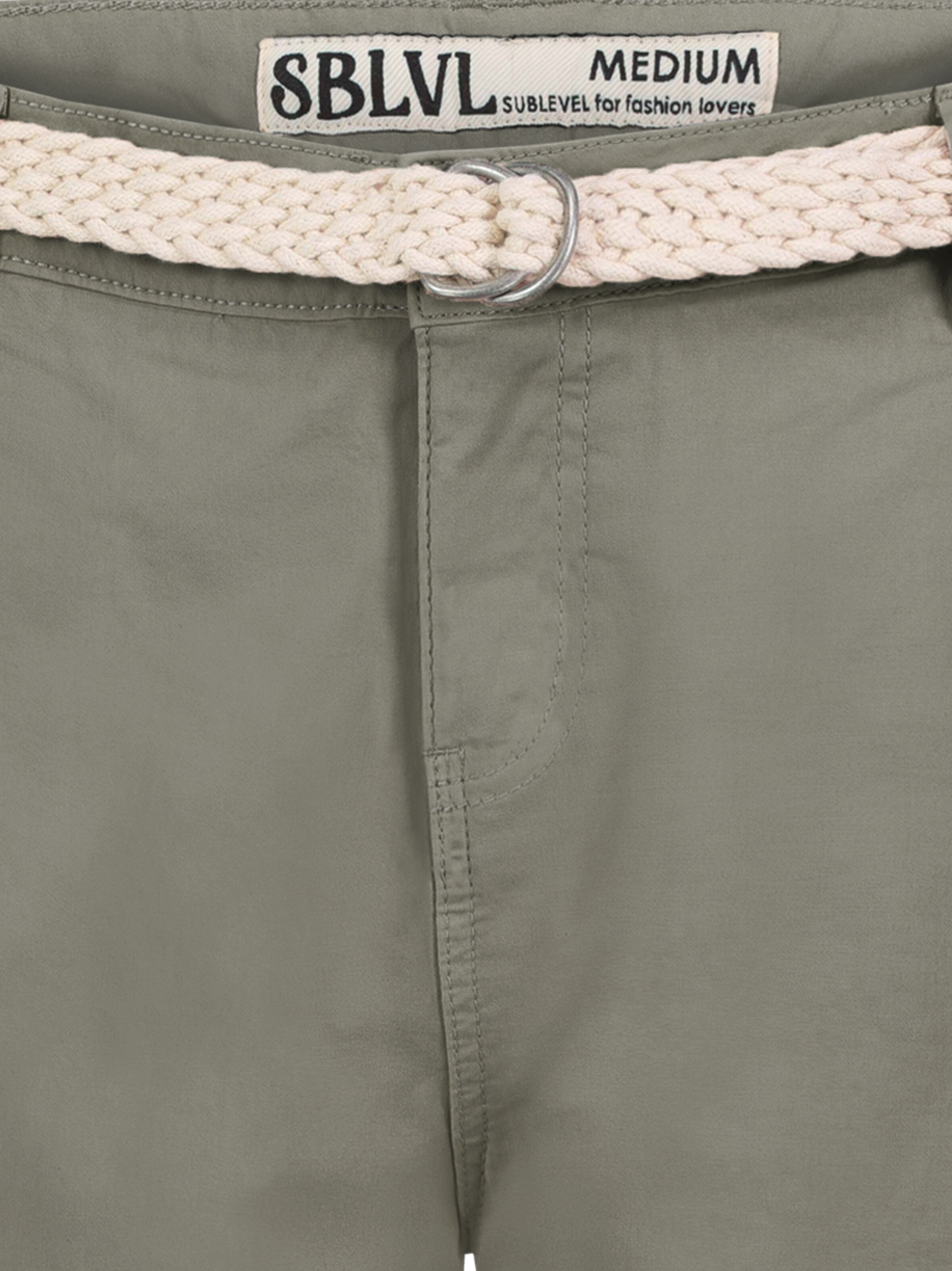 Sublevel Regular Shorts in Grün