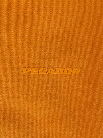 Pegador Pullover 'Logo Gum' in Orange