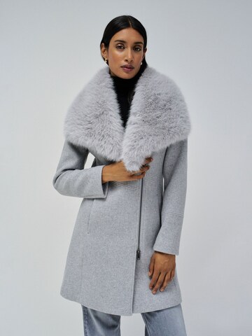 Salsa Jeans Wintermantel in Grau: Vorderseite